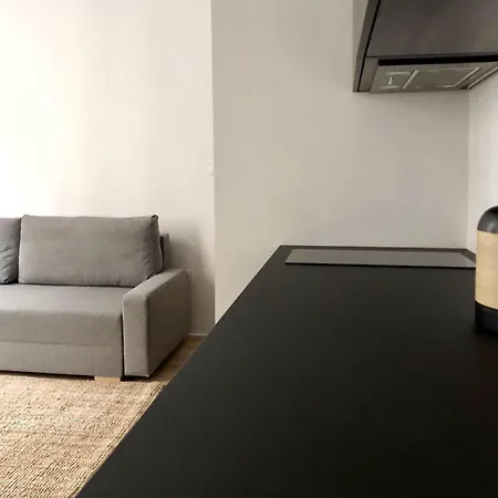 Daire Cosy - Hypercentre - Rue Vicomte *